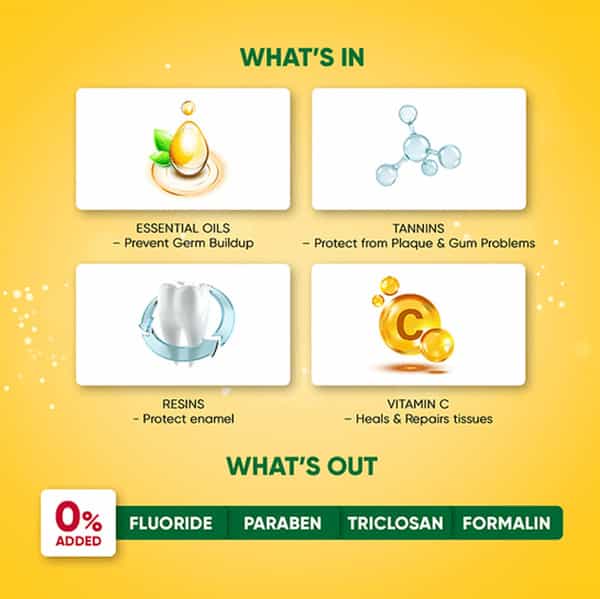 Dabur Meswak Toothpaste With Toothbrush 300 Gm