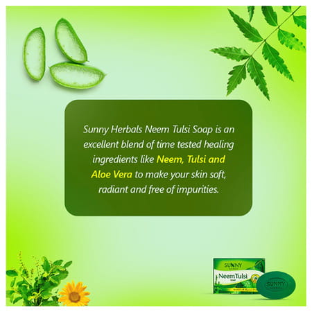 Baksonsneem Tulsi Soap 75 Gm