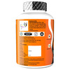 Naturyz Double Strength Natural Plant Vitamin C & Zinc Supplement 1250 Mg For Immunity (60 Tablets)