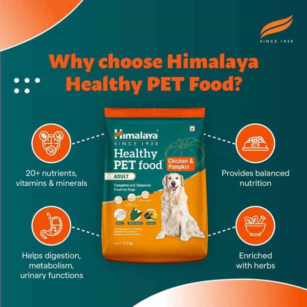 Himalaya Chicken & Pumpkin Adult Dog Dry Food /10Kg