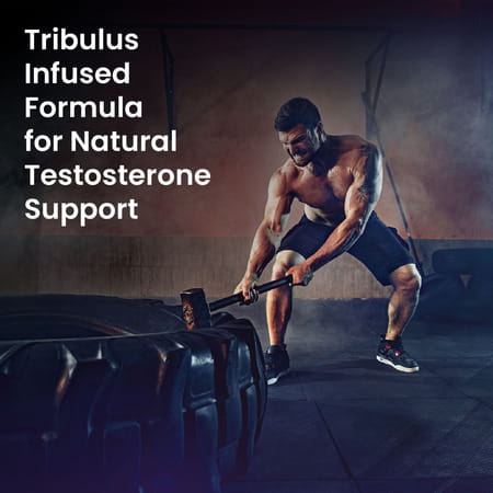 Vlado's Himalayan Organics Organic Multivitamins | Iron Zinc Vitamin C & Niacin - 60 Veg Tablets