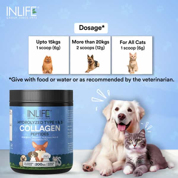 Inlife Collagen For Dogs & Cats| Hydrolyzed Collagen Powder For Skin, Coat, Joints | 200G, Blueberry