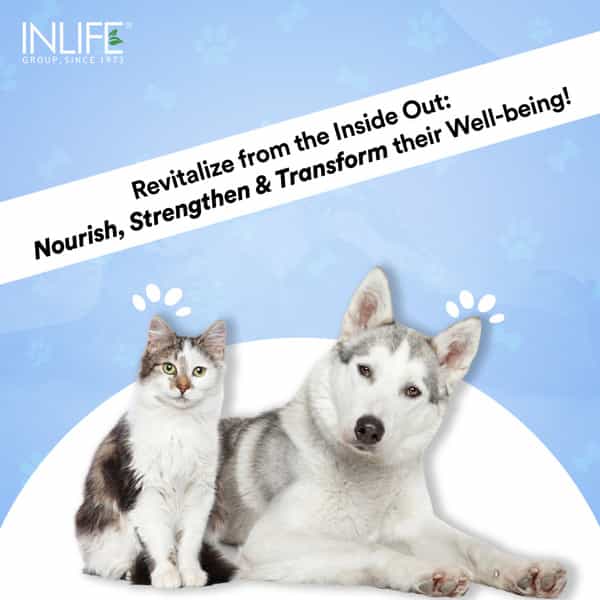 Inlife Collagen For Dogs & Cats| Hydrolyzed Collagen Powder For Skin, Coat, Joints | 200G, Blueberry