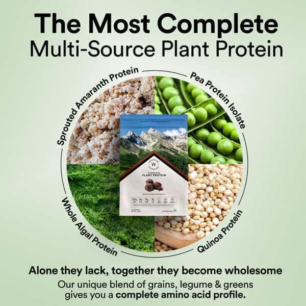 Wellbeing Nutrition Organic Vegan Plant Protein Isolate Powder | Belgian Dark Chocolate - 500Gm