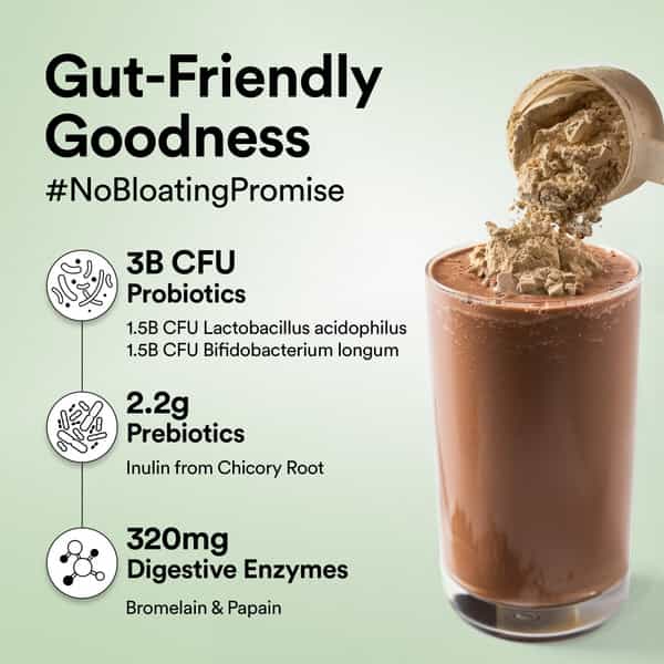 Wellbeing Nutrition Organic Vegan Plant Protein Isolate Powder | Belgian Dark Chocolate - 500Gm