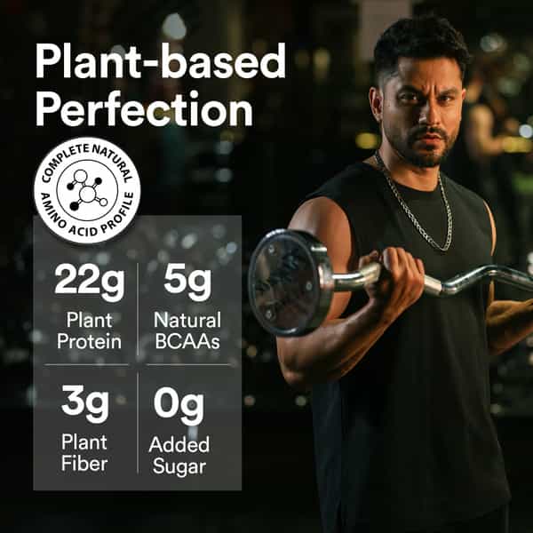 Wellbeing Nutrition Organic Vegan Plant Protein Isolate Powder | Belgian Dark Chocolate - 500Gm