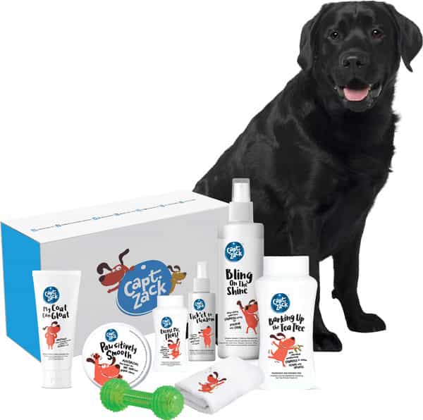 Captain Zack - The Labrador Groom Box Ultimate 8-In-1 Head-To-Paw Groom-Kit For Your Dog