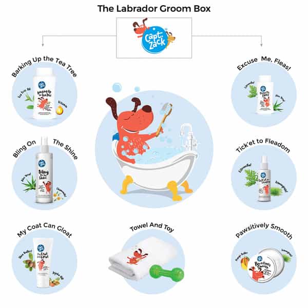 Captain Zack - The Labrador Groom Box Ultimate 8-In-1 Head-To-Paw Groom-Kit For Your Dog