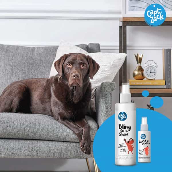 Captain Zack - The Labrador Groom Box Ultimate 8-In-1 Head-To-Paw Groom-Kit For Your Dog