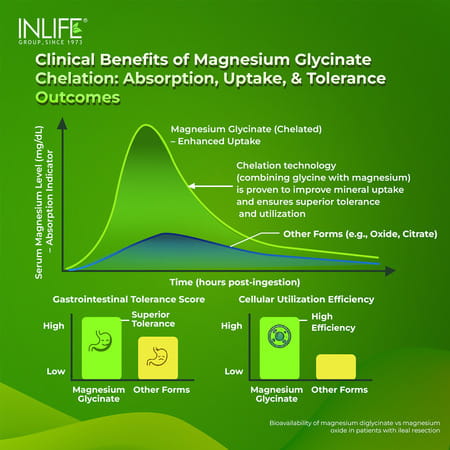 Inlife Magnesium Glycinate With Zinc Picolinate Tablets 2000mg | Chelated High Absorption | 60n