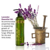 Keya Seth Aromatherapy Scalp Care Dandruff Removal Shampoo- 200Ml