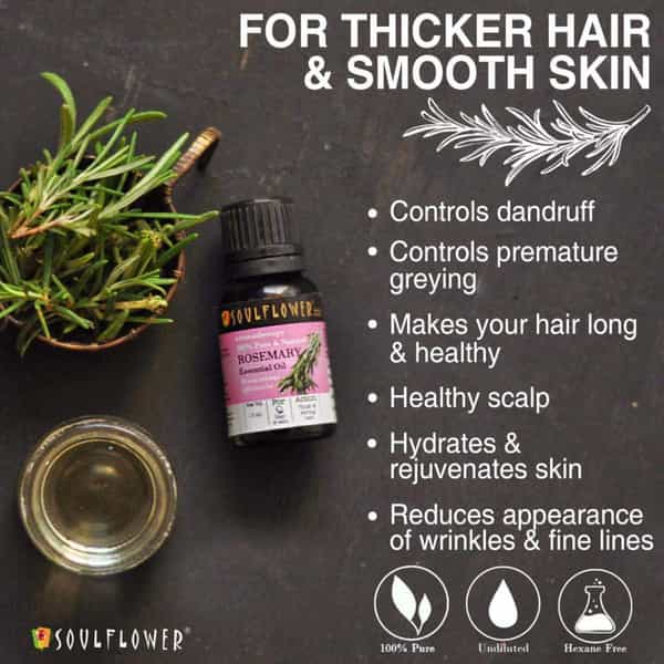 Soulflower Essential Oil Rosemary (15Ml) And Ylang Ylang 100% Pure Natural And Undiluted Oil (15Ml)