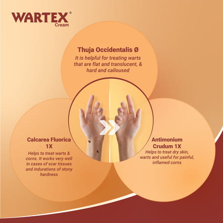 Medisynth Wartex Cream | Effective Homoeopathic Treatment For Warts & Corns | B.no. 106 | 20Gm X2