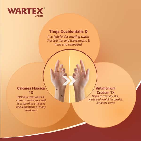 Medisynth Wartex Cream | Effective Homoeopathic Treatment For Warts & Corns | B.no. 106 | 20Gm X2
