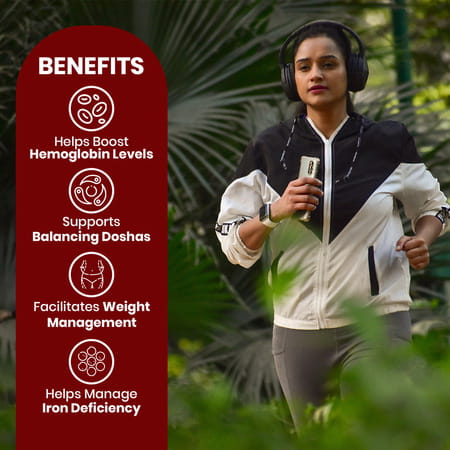 Baidyanath Lohasav 450 Ml