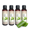 Aloe Vera Shampoo 100Ml Pack Of 4