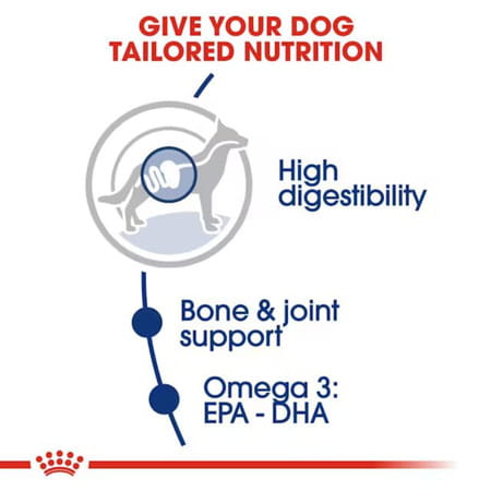 Royal Canin Maxi Adult Dog Food | 2.5 Kg | Dry Food | Supports Digestive Health & Optimal Health