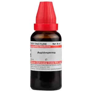 Dr. Willmar Schwabe India Aspidosperma Mother Tincture Q 30 Ml