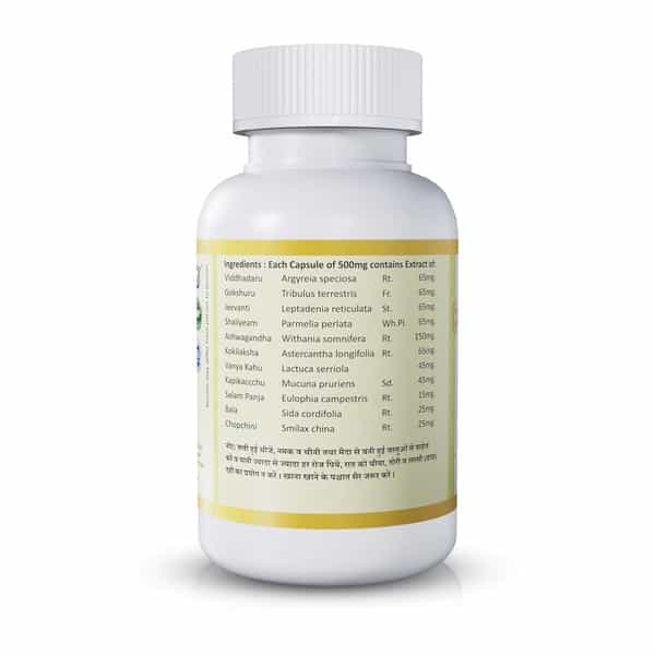 Jeena Sikho Spermosurge/Mens Health | Herbal Men Wellness Supplement | 60 Capsules