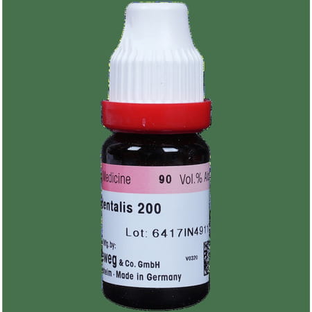 Dr. Reckeweg Thuja Occ Dilution 200 Ch 11 Ml