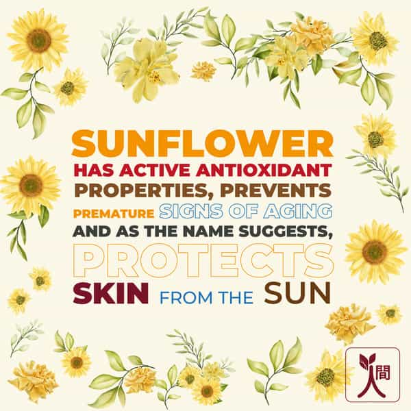 Ningen De-Tan Bleach (Cream + Activator) Sunflower Extracts Helps Remove Tan - 43G