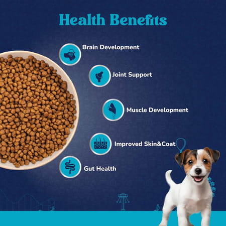Carniwel Fresh Chicken Puppy Dry Dog Food 10Kg | Premium Nutrition | Natural Ingredients