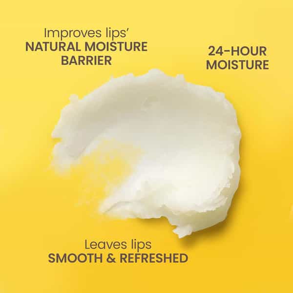 Burt's Bees Lip Balm | Beeswax | Cucumber Mint | Coconut Pear & Vanilla Bean | 4.25G | Pack Of 4