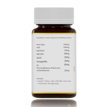 Shuddhi Immune Pathy Capsules | Ayurvedic Supplement For Immune System | 60 Capsules