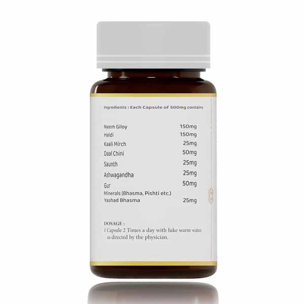 Shuddhi Immune Pathy Capsules | Ayurvedic Supplement For Immune System | 60 Capsules