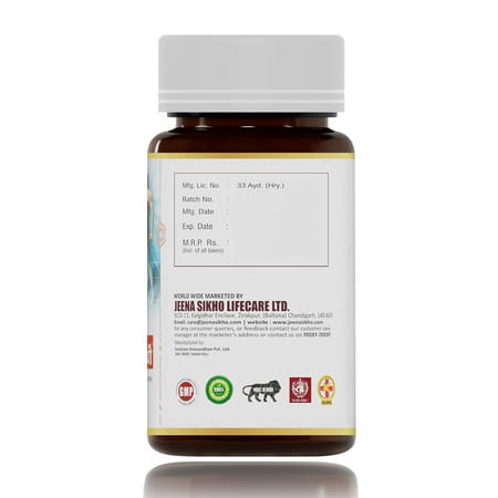 Shuddhi Immune Pathy Capsules | Ayurvedic Supplement For Immune System | 60 Capsules