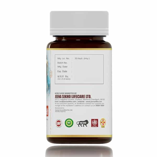 Shuddhi Immune Pathy Capsules | Ayurvedic Supplement For Immune System | 60 Capsules