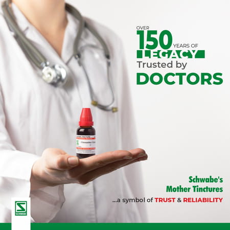 Dr. Willmar Schwabe India Gymnema Sylvestre Mt 30ml