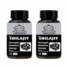Earth King Raw Shilajit/Shilajeet Extract Capsule - 500Mg 60 Capsules (Pack Of 2)