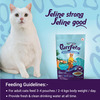 Purrfeto Adult Wet Cat Food | Oceanfish In Gravy |80 Gms (Pack Of 48)