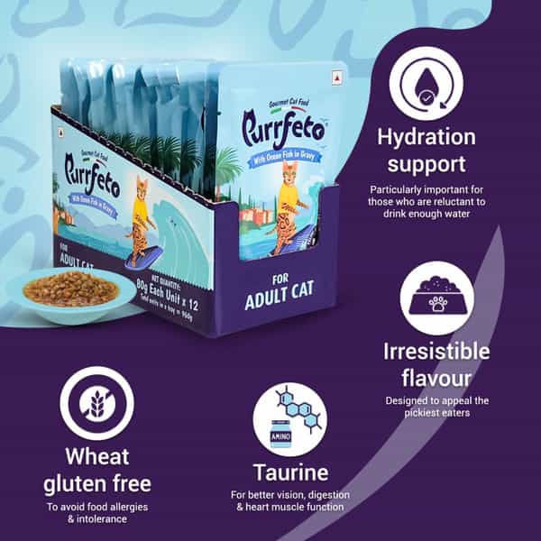 Purrfeto Adult Wet Cat Food | Oceanfish In Gravy |80 Gms (Pack Of 48)