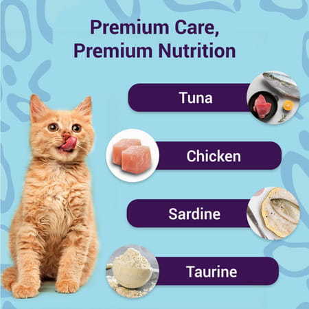 Purrfeto Adult Wet Cat Food | Oceanfish In Gravy |80 Gms (Pack Of 48)