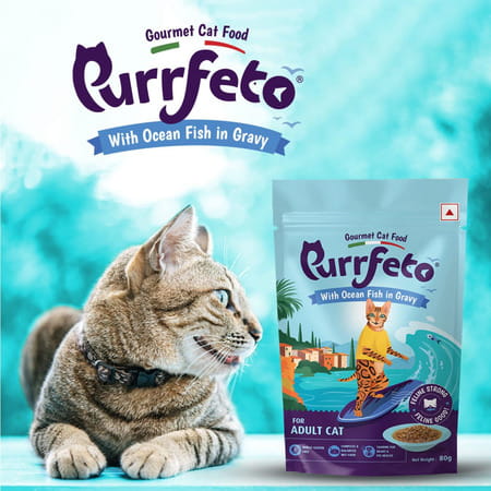 Purrfeto Adult Wet Cat Food | Oceanfish In Gravy |80 Gms (Pack Of 48)