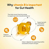 Nutriwave Gut Reboot Sachets For Gut Health & Digestion | Orange Flavour | 15 X 2.5G Powder Sachets