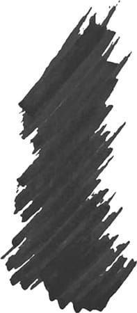 Wet N Wild Proline Graphic Marker Eyeliner - Jetliner Black