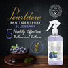 Pearldew Sanitizer Spray (Blueberry) 500 Ml | Aloe & Neem | Paraben Free (Pack Of 2)