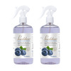 Pearldew Sanitizer Spray (Blueberry) 500 Ml | Aloe & Neem | Paraben Free (Pack Of 2)