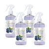 Pearldew Sanitizer Spray (Blueberry) 500 Ml | Aloe & Neem | Paraben Free (Pack Of 2)