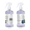 Pearldew Sanitizer Spray (Blueberry) 500 Ml | Aloe & Neem | Paraben Free (Pack Of 2)