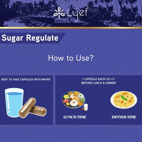 Lyef Sugar Regulate - Ayurveda Supplement To Support Healthy Blood Sugar Levels - 100% Veg)