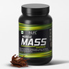 Inlife Muscle Mass Gainer With Whey Protein Powder Body Building Supplement (Chocolate 1Kg)