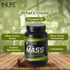 Inlife Muscle Mass Gainer With Whey Protein Powder Body Building Supplement (Chocolate 1Kg)