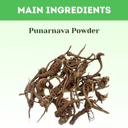 Ved Tattva Punarnava Powder - 1 Kg (Pack Of 4)