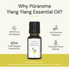 Puraroma Ylang Ylang Essential Oil - 10 Ml