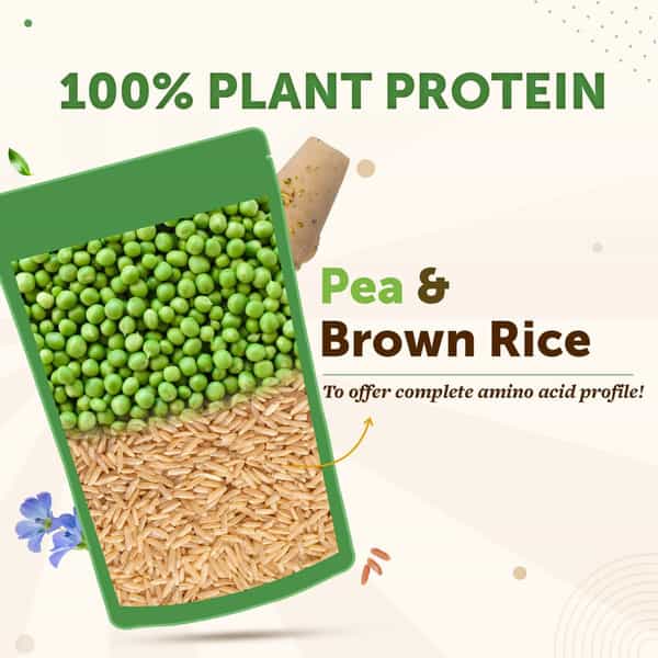 Neuherbs True Plant Protein Powder With Omega 3 (Digestive Enzymes & Probiotics)|Kulfi Flavour|500Gm