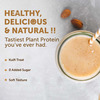 Neuherbs True Plant Protein Powder With Omega 3 (Digestive Enzymes & Probiotics)|Kulfi Flavour|500Gm